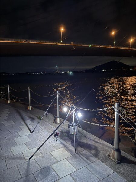 夜釣り、ちょい投げ