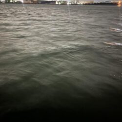 暴風の中バチ抜けシーバス