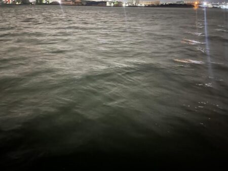暴風の中バチ抜けシーバス