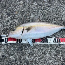 おかわり３連発
