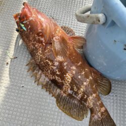 丹後SLJ