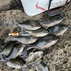 磯フカセ釣り