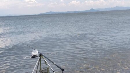 琵琶湖志賀浜小鮎釣り