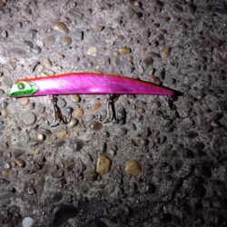 残念でした