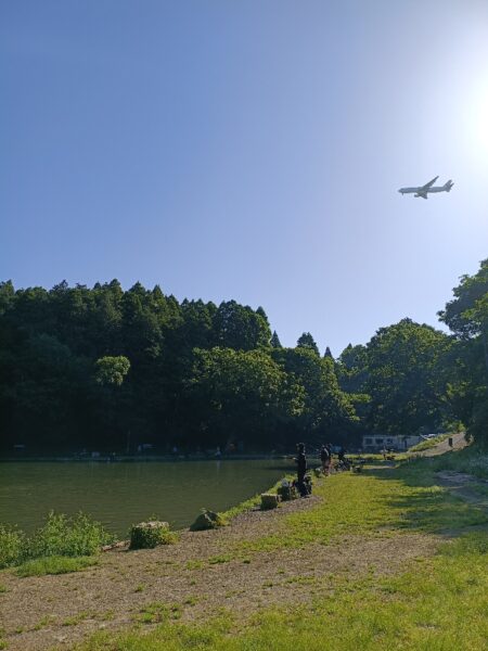 快晴無風のポンド