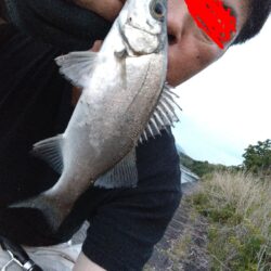 5バラし5キャッチ！