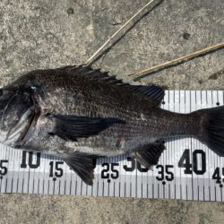 イチノ兄弟、釣果！