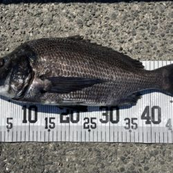 イチノ兄弟、釣果！