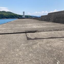 釣り人少ない