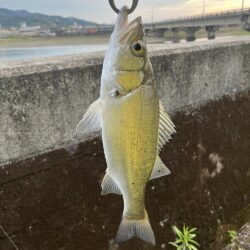 ルアー釣り