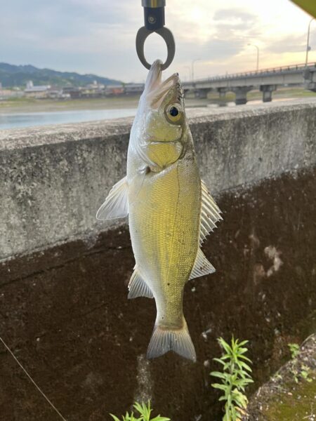ルアー釣り