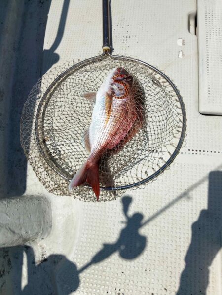初めて遊漁船ででタイラバ