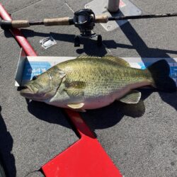 北山田サイト50cm