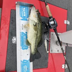GW最終日サイト40cm
