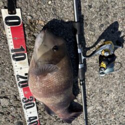 ヘチ釣り