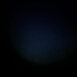 ナイトエギング