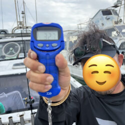 ティップランエギング