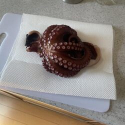 タコ釣ったどー。
