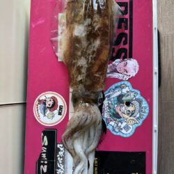 海王神ティップラン調査便