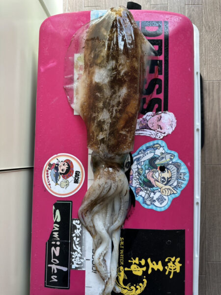海王神ティップラン調査便