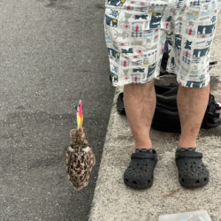 夢みなとタワー