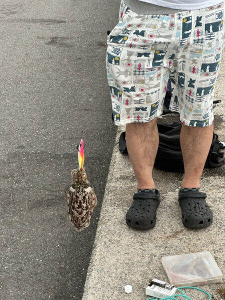 夢みなとタワー