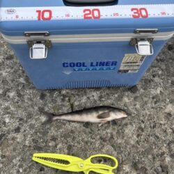 ホッケリベンジ！