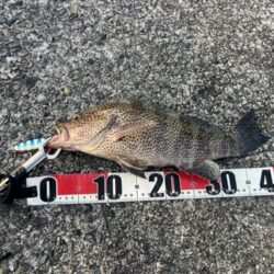 おかわり３連発