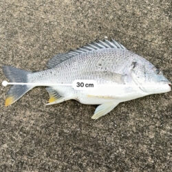 断捨離釣行