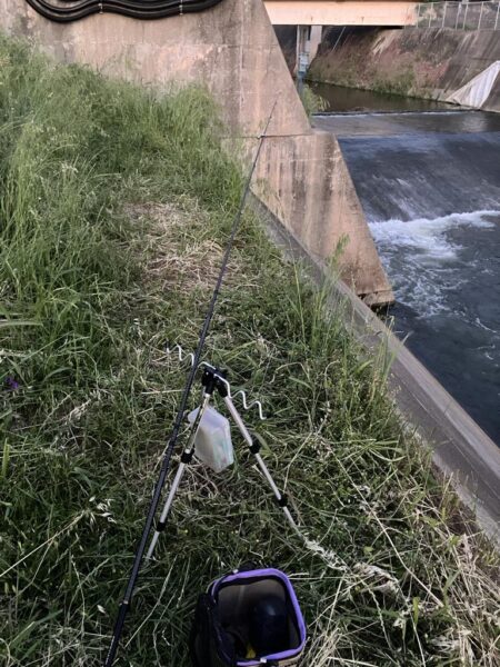 ある意味期待通り
