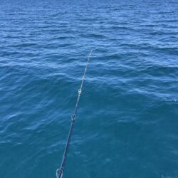 リベンジ釣行