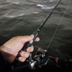 暴風の中バチ抜けシーバス