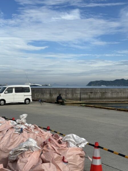 イワシが沸いています