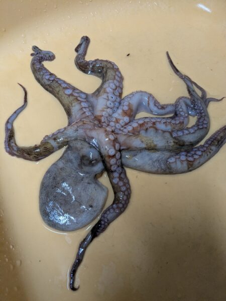 今シーズン初安打〜！