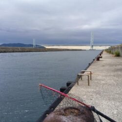 コブダイ釣り