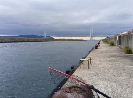 コブダイ釣り