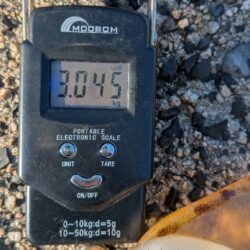 ​【自己新記録！】まさかの3kg超えモンスター出現！