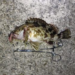 1年振りの伊勢湾釣行