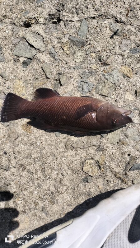 ひさしぶりの釣り