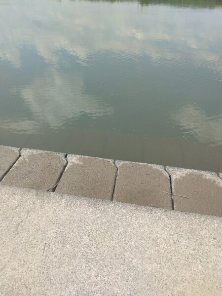 腰痛からのリハビリ？