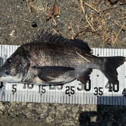 イチノ兄弟、釣果！