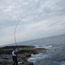 和歌山市江（吉丸渡船）でグレ釣り