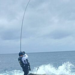 和歌山市江(吉丸渡船)でグレ釣り