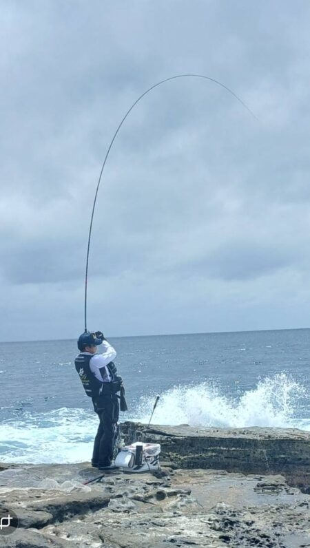 和歌山市江(吉丸渡船)でグレ釣り