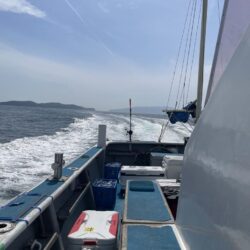 クログチ釣り
