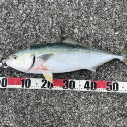 おかわり３連発