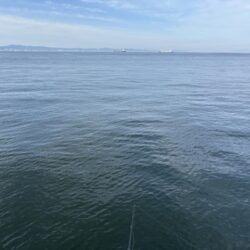 沖堤防　ほぼ撃沈