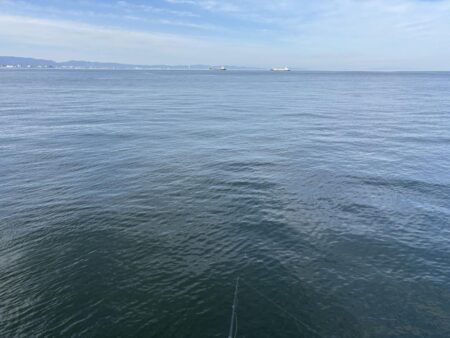 沖堤防　ほぼ撃沈