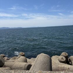 ヘチ釣り
