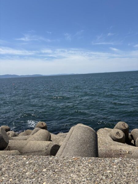 ヘチ釣り